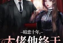 完结版暗恋十年，大佬他终于持证上岗了在哪免费看，沈清沅贺景川小说在线阅读-红妆文学