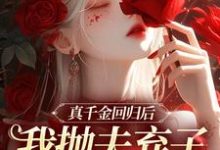 真千金回归后,我抛夫弃子独自美丽免费阅读,苏黎陆敬煊大结局无弹窗-红妆文学
