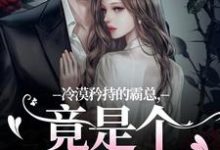 冷漠矜持的霸总,竟是个纯爱战士免费阅读(宋诗予段斯昀)小说免费读最新章节-红妆文学