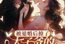 陆砚昇乔曦小说免费阅读最新章节列表，被退婚后撩了太子爷的检察官小叔小说在线看-红妆文学