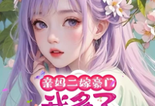 求助这本亲妈二嫁豪门，我多了四个哥哥小说在哪里可以看完结版-红妆文学