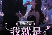 主角是傅斯御虞知窈的小说强娶娇妻，我就是他的真爱！在哪免费看-红妆文学