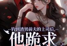 钓到渣男前夫的上司后，他跪求放过大结局，苏锦萧云锋小说无广告阅读-红妆文学