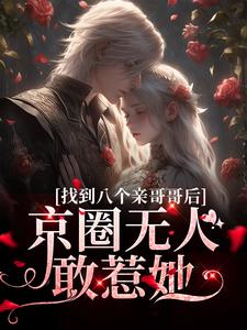 找到八个亲哥哥后，京圈无人敢惹她（叶小汐叶以辰）最新章节免费阅读