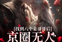 叶小汐叶以辰最新章节列表找到八个亲哥哥后，京圈无人敢惹她免费阅读-红妆文学