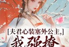 叶锦意萧凛渊在线阅读，夫君心装塞外公主，我强撩也能到手小说完结版章节-红妆文学