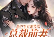杨念念陆文彬小说免费阅读最新章节列表，高冷军官强势爱，总裁前妻立马改嫁小说在线看-红妆文学