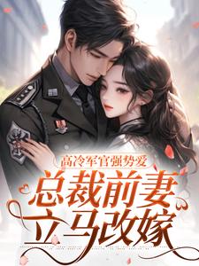 杨念念陆文彬小说免费阅读最新章节列表，高冷军官强势爱，总裁前妻立马改嫁小说在线看