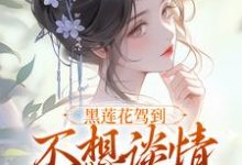 黑莲花驾到，不想谈情只想晋升（宁司寒林妩）最新章节在线阅读-红妆文学