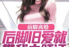 前脚离婚,后脚旧爱就带我去领证(陆沉苏婉清)最新章节免费在线阅读-红妆文学