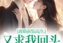 小说离婚前装高冷,又求我回头做什么(苏念封承烬)最新章节在哪看-红妆文学