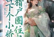 小说天上掉下个小娇娇,猎户圈住宠主角沈青山免费阅读-红妆文学