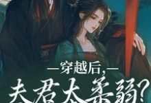 沈微萧御衡小说的结局在哪可以看，穿越后，夫君太柔弱？我来夺江山免费阅读完结版-红妆文学