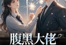 腹黑大佬诱拐小绵羊,婚后甜到齁(时有微沈皙白)最新章节在线阅读-红妆文学