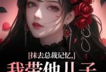 抹去总裁记忆，我带他儿子回苗寨（裴景澈梨尤笙）完结版免费阅读-红妆文学