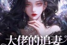 姜沁笙纪怀舟小说免费阅读最新章节列表，大佬的追妻火葬场：晚了，姐不稀罕小说在线看-红妆文学