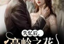 失忆后，高岭之花他又撩又哄大结局，黎漾裴政臣小说无广告阅读-红妆文学