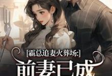 霸总追妻火葬场:前妻已成人间富贵花最新章节阅读霸总追妻火葬场:前妻已成人间富贵花(秦桑傅霆深)试读更新章节-红妆文学