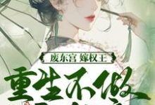 (全文)废东宫,嫁权王,重生不做乖女娘商子焱苏以卿全本免费在线阅读-红妆文学