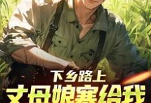 下乡路上，丈母娘塞给我一车嫁妆林辰宋雨热门小说排行榜下乡路上，丈母娘塞给我一车嫁妆免费小说-红妆文学