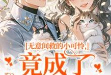 无意间救的小可怜，竟成了京都大佬热门小说排行榜无意间救的小可怜，竟成了京都大佬晏离权时泽免费小说全本-红妆文学