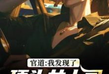 (全文)官道:我发现了顶头女上司的秘密(徐青胡丽娜)全本书籍阅读官道:我发现了顶头女上司的秘密免费小说全本-红妆文学