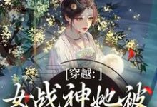 穿越：女战神她被尊主俘获了推荐完结小说穿越：女战神她被尊主俘获了(云澜夜无溟)免费小说全本-红妆文学