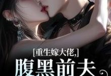 (全文)重生嫁大佬，腹黑前夫追妻火葬场（林疏桐贺霆屿）全本书籍阅读重生嫁大佬，腹黑前夫追妻火葬场免费小说全本-红妆文学