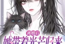 离婚后她带着光芒归来，总裁悔断肠完整版小说，离婚后她带着光芒归来，总裁悔断肠江念慕南辞试读更新章节-红妆文学