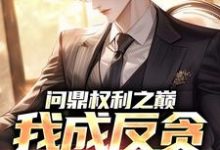 (全文)问鼎权利之巅，我成反贪第一人（林东凡沈君兰）免费小说问鼎权利之巅，我成反贪第一人试读更新章节-红妆文学