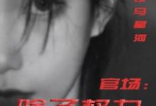 (全文)官场:除了权力还有啥热门小说排行榜,官场:除了权力还有啥丁俊丰贺征全章小说阅读-红妆文学