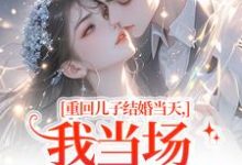 (全文)重回儿子结婚当天，我当场搅黄婚事免费小说全本，刘琴刘勇试读更新章节-红妆文学
