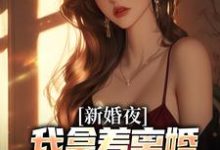 新婚夜，我拿着离婚协议黯然离场叶修远白若雪热门小说排行榜新婚夜，我拿着离婚协议黯然离场免费小说-红妆文学