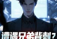 秦东骆小蝶遭遇兄弟背刺？我直接去偷家全本免费在线阅读-红妆文学