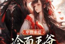 卑微求爱：冷面王爷只为她轻哄苏如卿赫连渊免费小说卑微求爱：冷面王爷只为她轻哄推荐完结小说-红妆文学