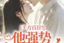 千方百计！他强势夺我闪婚（南昭沙赫）全本书籍阅读千方百计！他强势夺我闪婚完整版小说-红妆文学