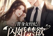 (全文)替身女经纪,闪婚禁欲大佬虐渣男完结小说推荐黎湘霍斯然全本书籍阅读-红妆文学