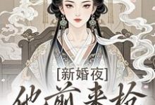 (全文)新婚夜,他前来抢夺我的心(温棠谢云州)免费小说新婚夜,他前来抢夺我的心试读更新章节-红妆文学