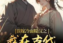 (全文)误嫁冷面糙汉之我在古代当小媳妇苏琴岑殷闵全本免费在线阅读-红妆文学