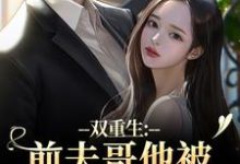 (全文)双重生：前夫哥他被我现任碾压了苏琉璃宋凌渊全本免费在线阅读-红妆文学