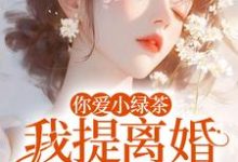 你爱小绿茶，我提离婚你急什么陆应淮苏晴好最新完结小说，你爱小绿茶，我提离婚你急什么全本免费在线阅读-红妆文学