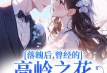 落魄后，曾经的高岭之花求我爱他完整版小说落魄后，曾经的高岭之花求我爱他(沈在宜祝陈)全章小说阅读-红妆文学