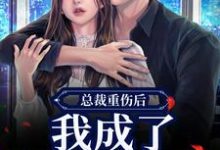 总裁重伤后，我成了他的小娇妻（林之渝陈沐深）全本书籍阅读总裁重伤后，我成了他的小娇妻完整版小说-红妆文学
