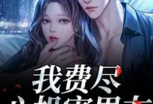 (全文)我费尽心机害男友，他却笑了笑？黎芷傅嘉正全本免费在线阅读-红妆文学