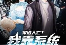 (全文)家破人亡？我靠系统儿孙满堂热门小说排行榜，家破人亡？我靠系统儿孙满堂柳若澜许良全章小说阅读-红妆文学