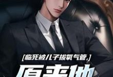 林子阳临死被儿子拔氧气管，原来他非亲生全本免费在线阅读-红妆文学
