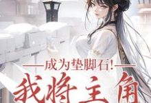 (全文)成为垫脚石！我将主角踩脚下罗栖颜全本免费在线阅读-红妆文学