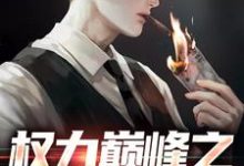 权力巅峰之红色仕途（张文定）全本书籍阅读权力巅峰之红色仕途完整版小说-红妆文学