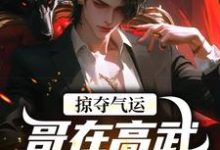 (全文)掠夺气运，哥在高武世界赢麻了沈无萧全本免费在线阅读-红妆文学