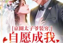 京圈太子爷装穷，自愿成我的金丝雀秦婕妤殷权免费小说京圈太子爷装穷，自愿成我的金丝雀推荐完结小说-红妆文学